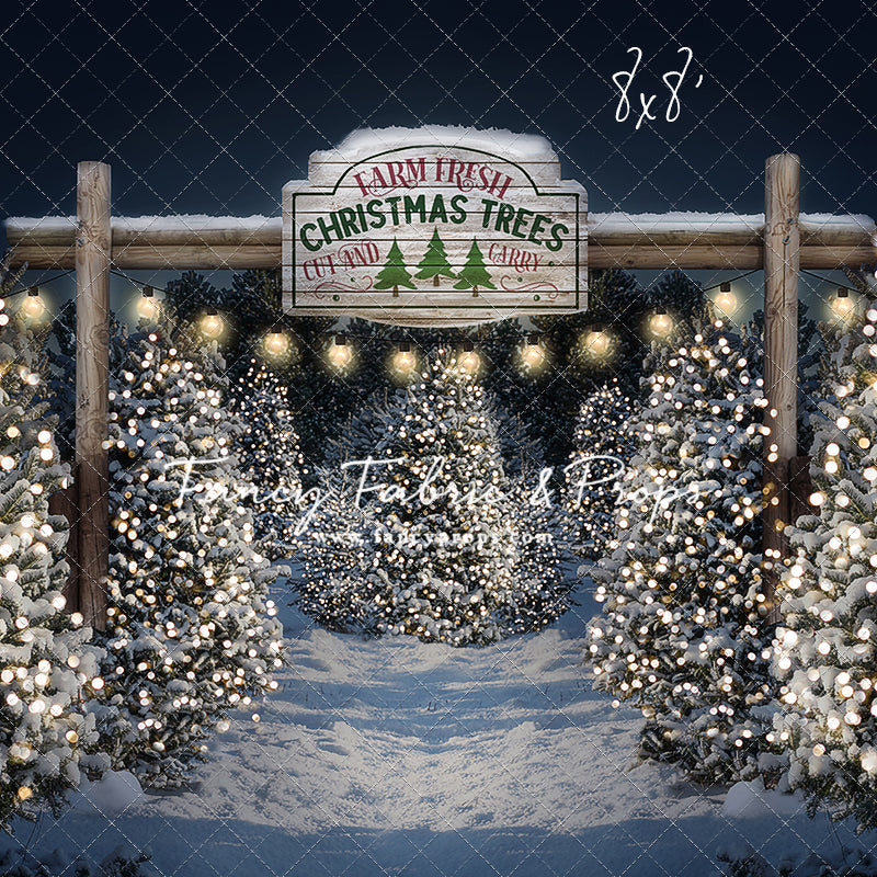 Evening Snowy Tree Farm Entrance