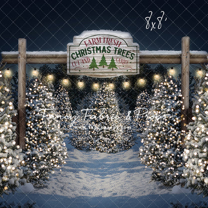 Evening Snowy Tree Farm Entrance