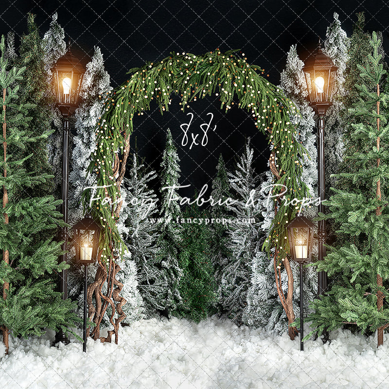 Evening Tree Farm Stroll