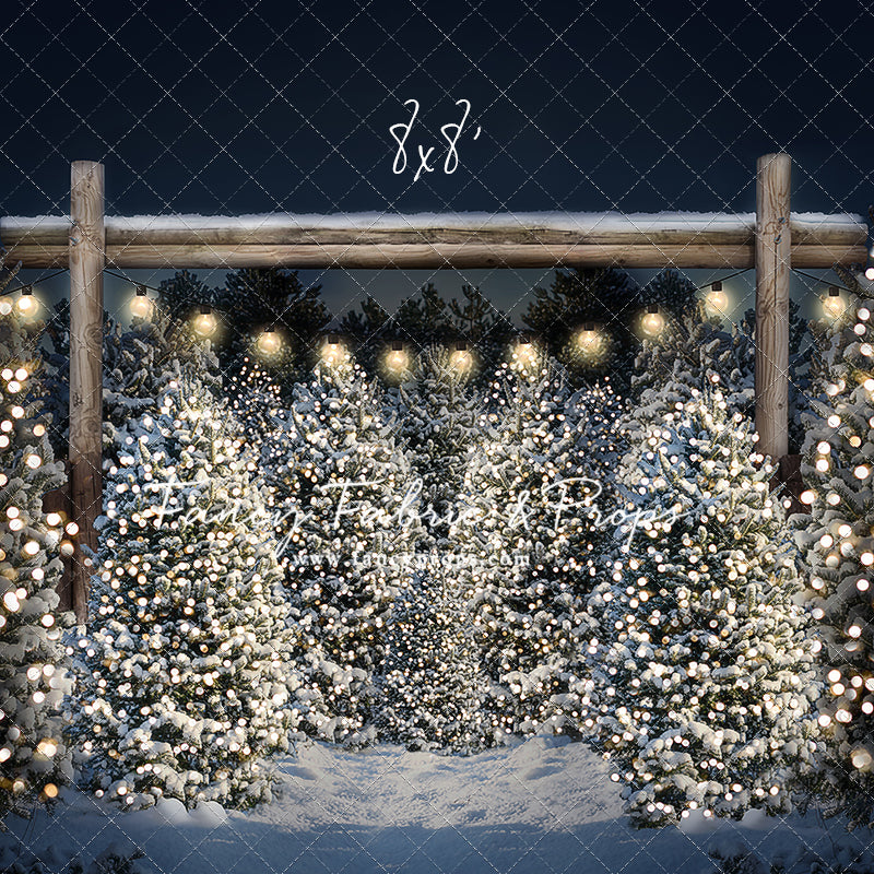 Evening Winter Tree Farm