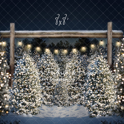 Evening Snowy Tree Farm Room