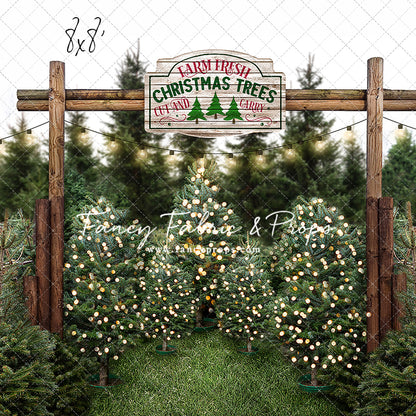 Farm Fresh Christmas Trees