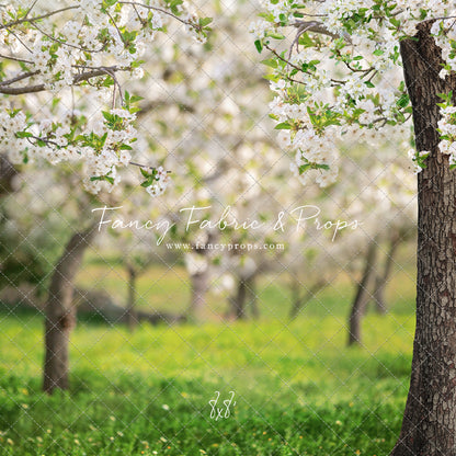 Flowering Forest Trees