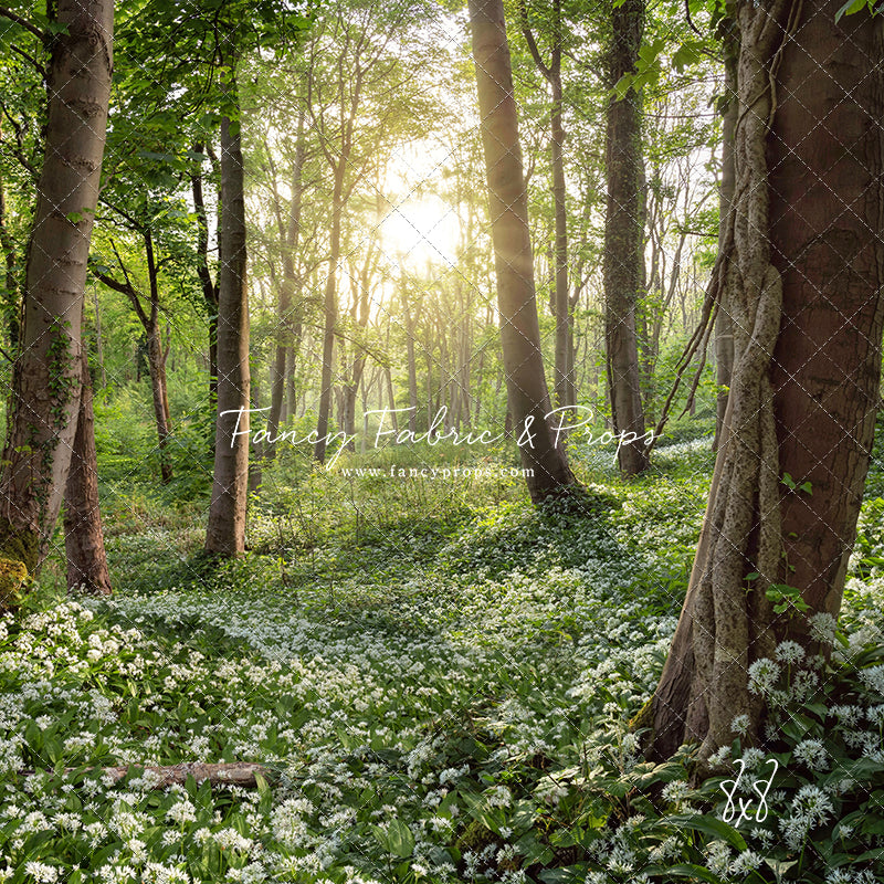 Flowering Forest White Meadow