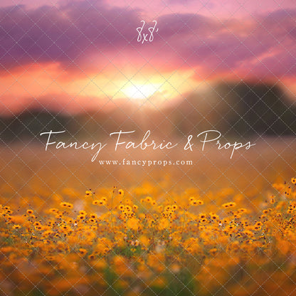 Golden Hour Wildflowers