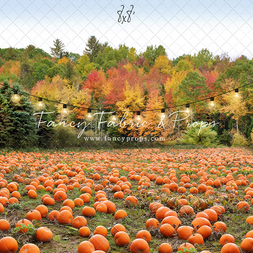 It's Pumpkin Pickin' Time