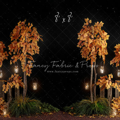 Midnight Fall Forest