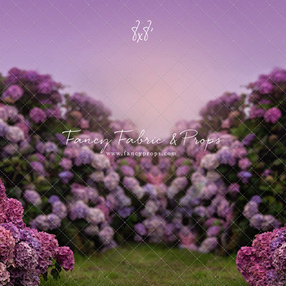 Purple Hydrangea Hollow