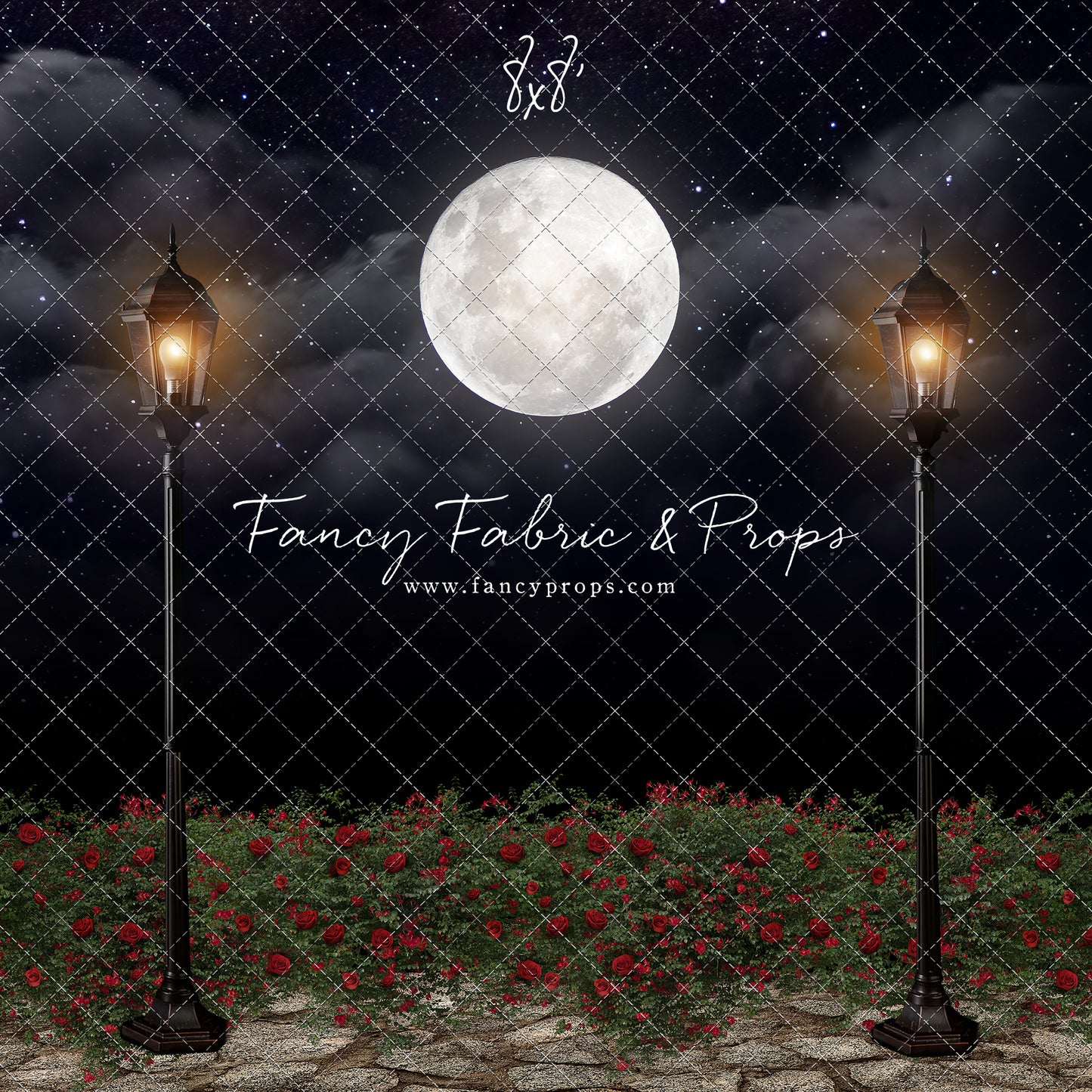 Romantic Moonlit Stroll