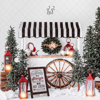 Sleigh Rides For Sale