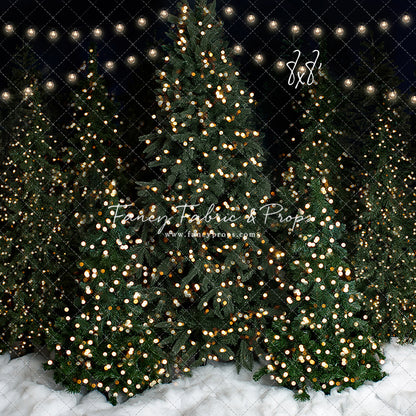 Snowy Evening At The Tree Farm