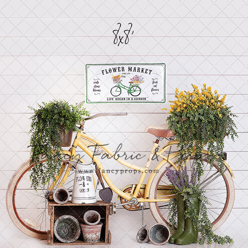 Springtime Bicycle Ride