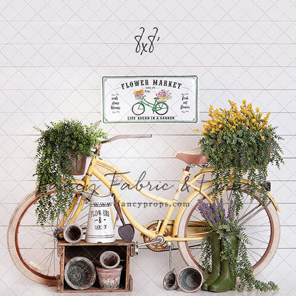 Springtime Bicycle Ride