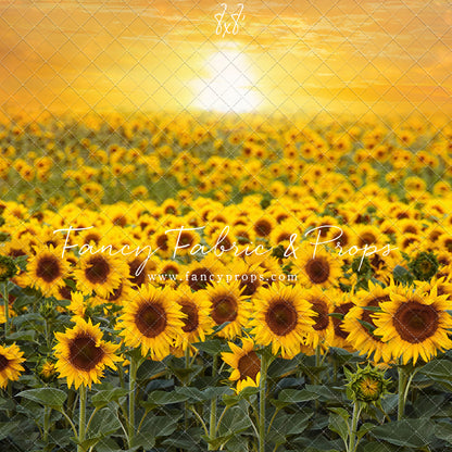 Sunflower Sunset