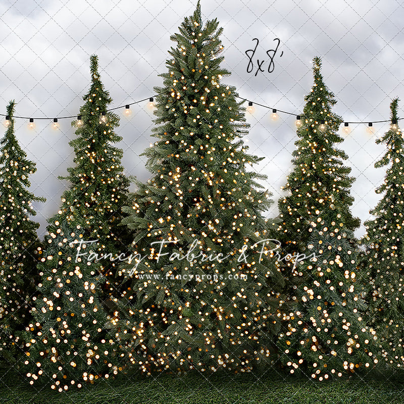 Tree Farm Traditions