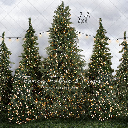 Tree Farm Traditions