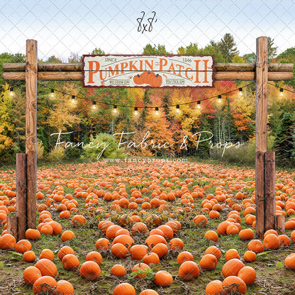 Welcome To The Pumpkin Patch