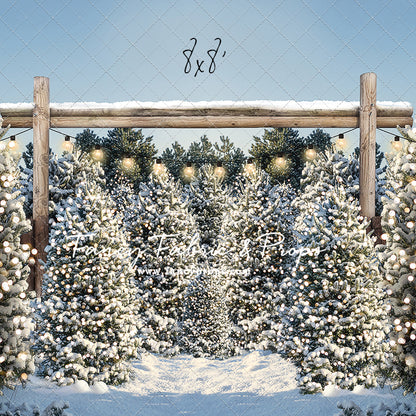 Winter Cut & Carry Tree Farm