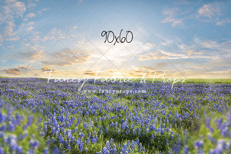 Blue Bonnet Afternoon