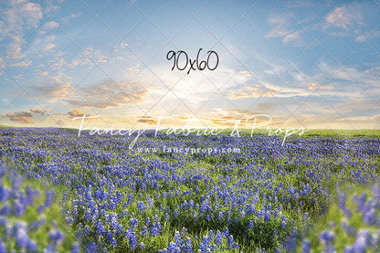 Blue Bonnet Afternoon