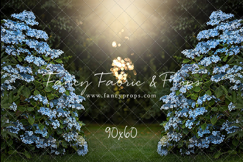 Blue Hydrangea Hideaway