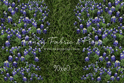Bluebonnet Grass Floor