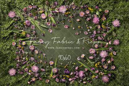 Chrysanthemum Blooms