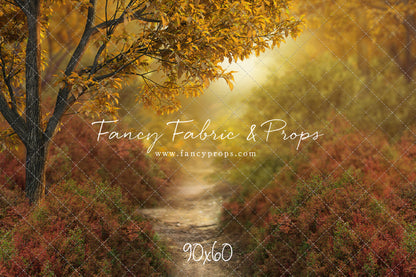 Dreamy Evening Path - With Sweep Option