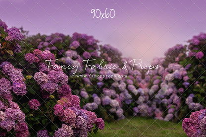 Purple Hydrangea Hollow