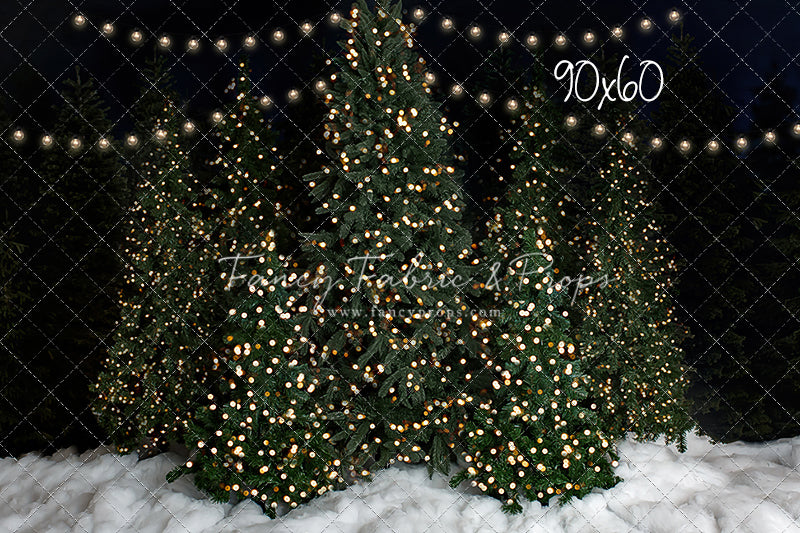 Snowy Christmas At The Barn 2pc Mini Room