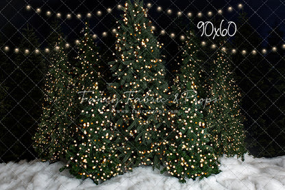 Snowy Christmas At The Barn 2pc Mini Room