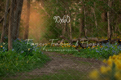 Spring Bluebell Path