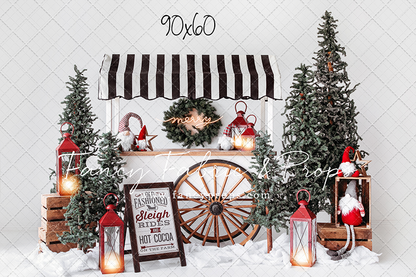 Sleigh Rides For Sale