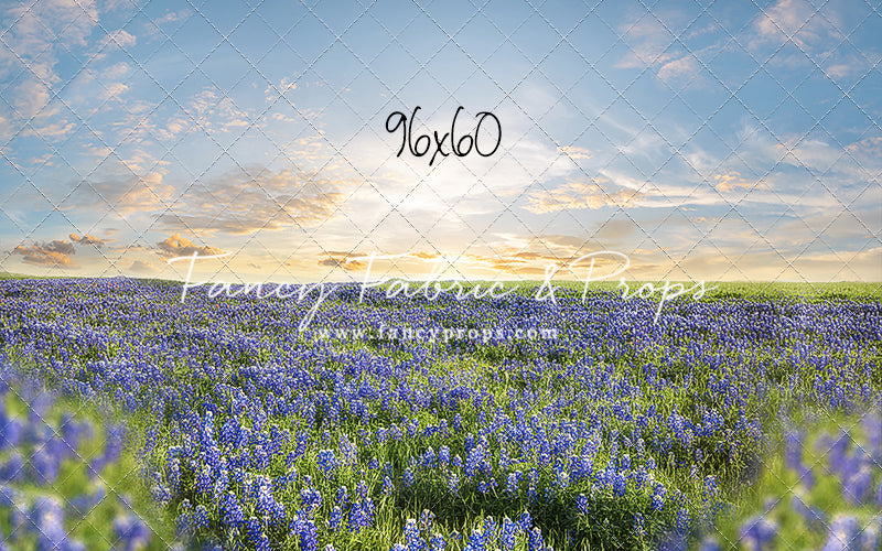 Blue Bonnet Afternoon