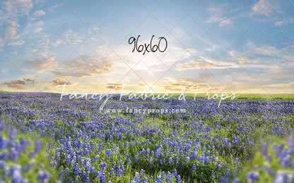 Blue Bonnet Afternoon