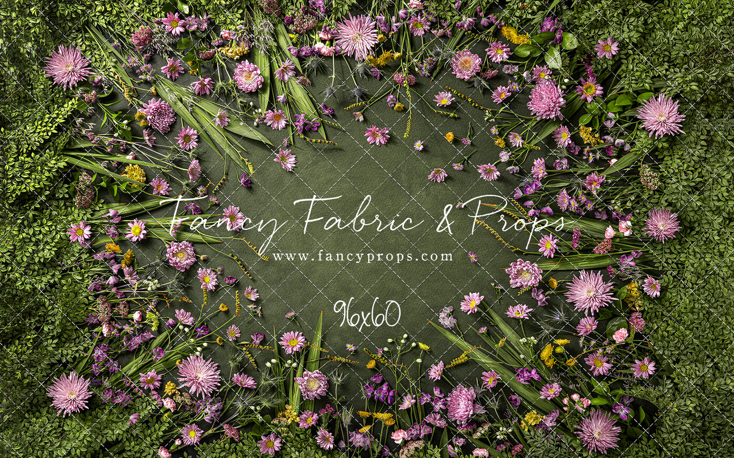 Chrysanthemum Blooms