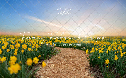 Daffodil Path