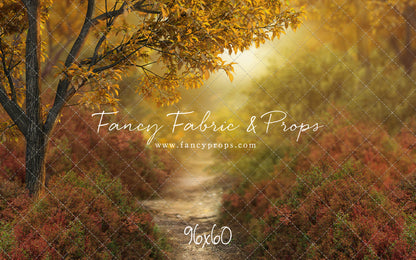 Dreamy Evening Path - With Sweep Option