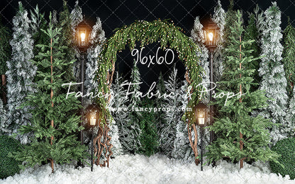 Evening Tree Farm Stroll