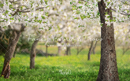 Flowering Forest Trees