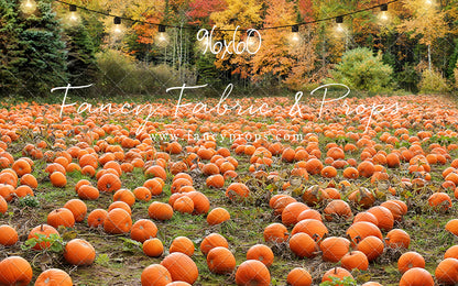 It's Pumpkin Pickin' Time