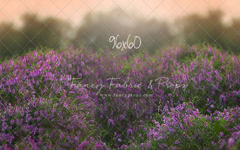 Love In Lavender