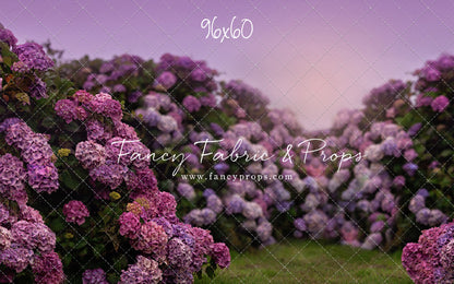 Purple Hydrangea Hollow