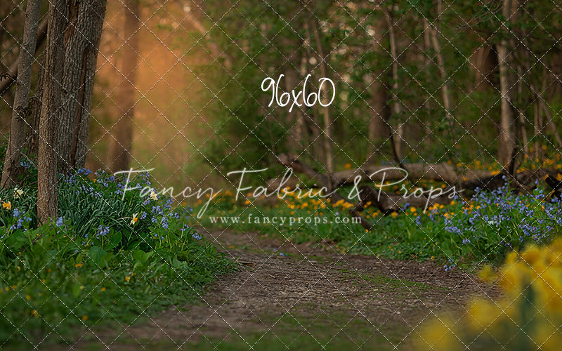 Spring Bluebell Path