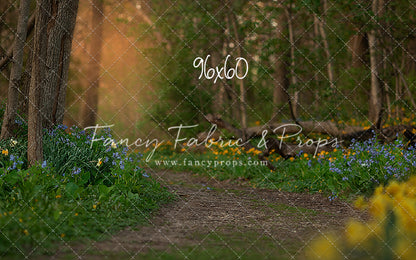 Spring Bluebell Path