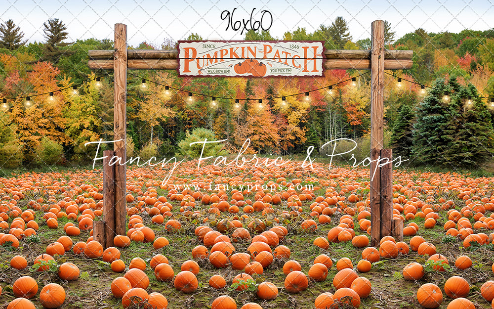 Welcome To The Pumpkin Patch