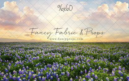 Blue Bonnet Sunrise - With Sweep Option
