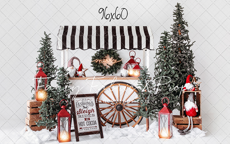 Sleigh Rides For Sale