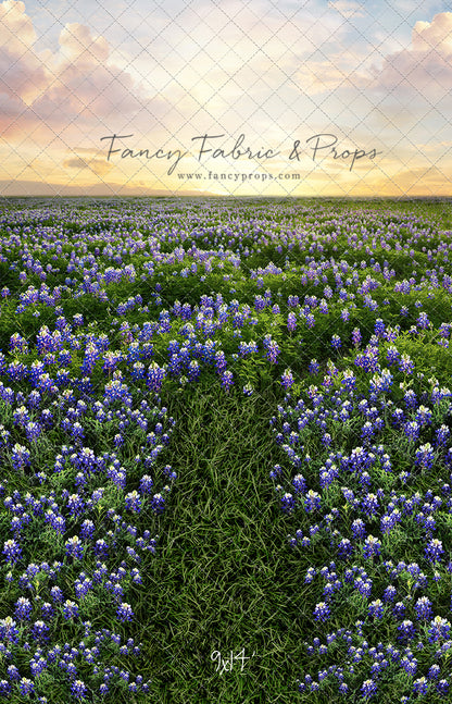 Blue Bonnet Sunrise - With Sweep Option