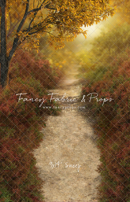 Dreamy Evening Path - With Sweep Option